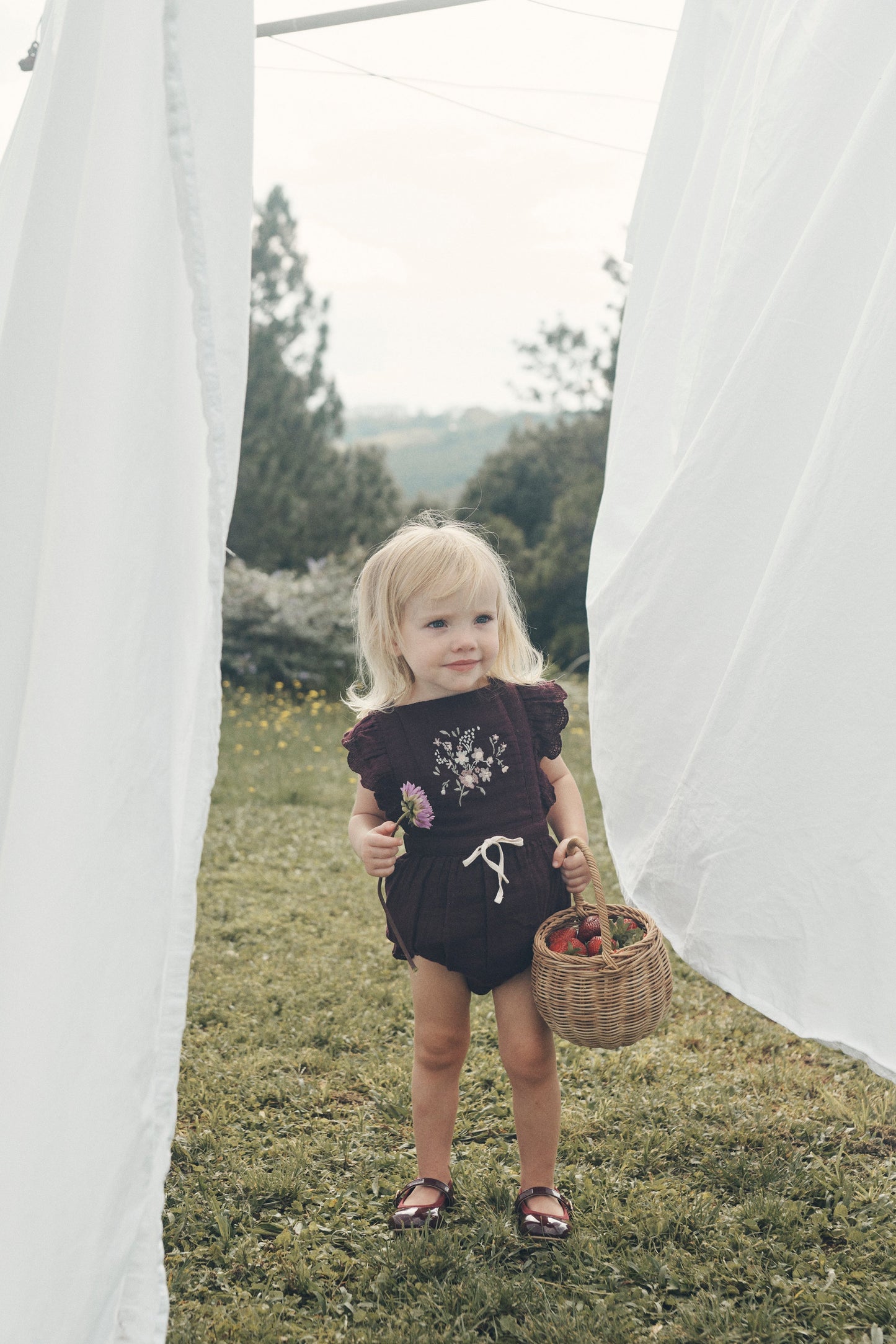 Macy Playsuit Fig